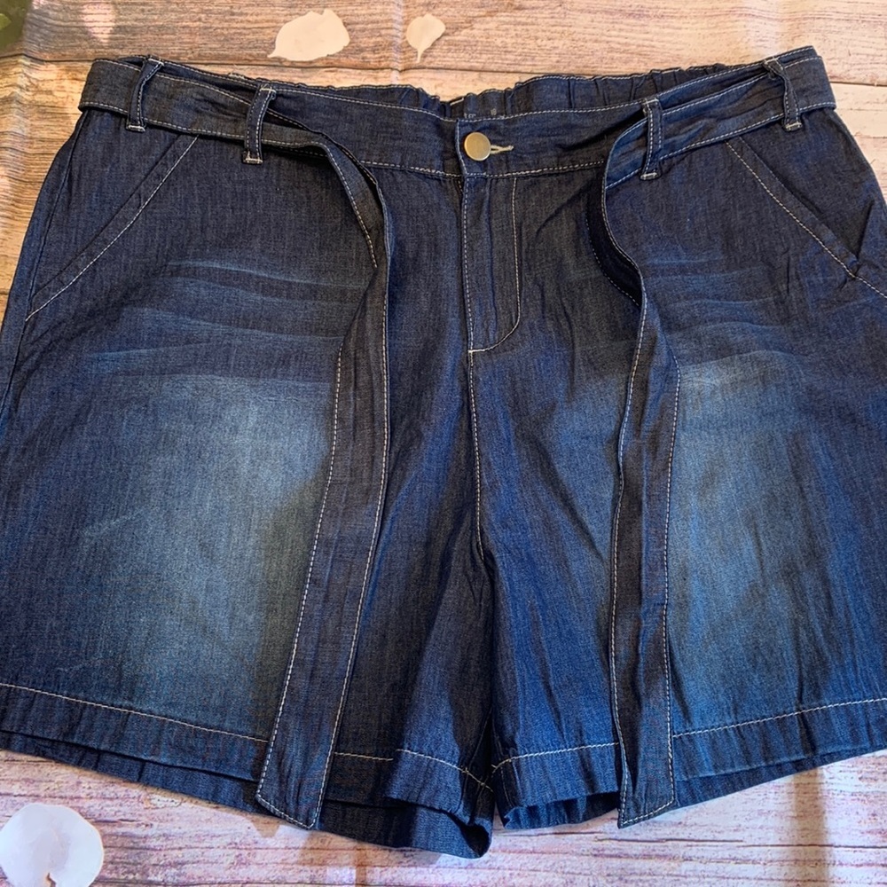 Loralette • Anthropologie Denim Shorts • Sz 18 • NWT!